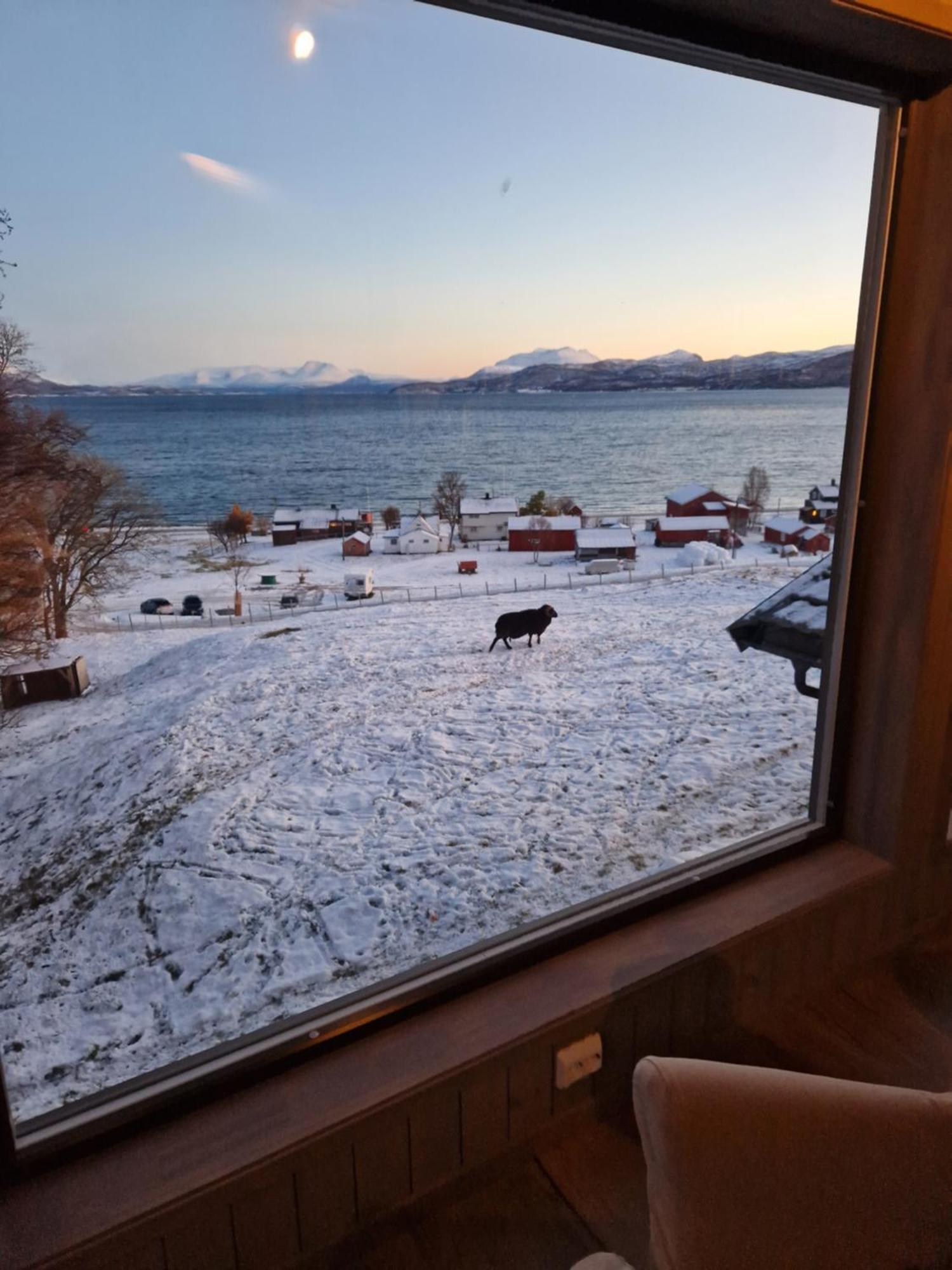 Yggdrasil Farmhotel Retreat, Spa & Yoga Straumsbukta Экстерьер фото