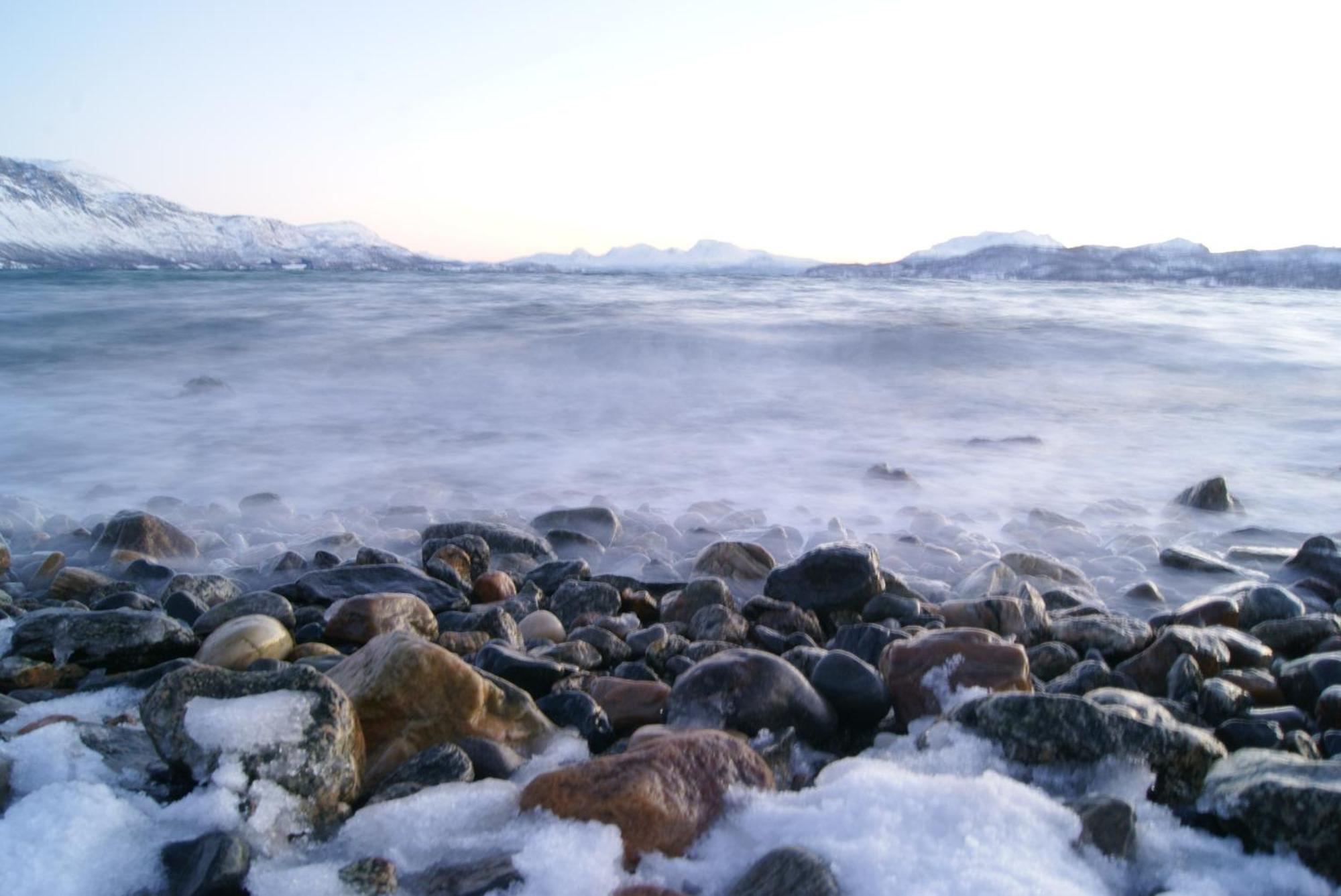 Yggdrasil Farmhotel Retreat, Spa & Yoga Straumsbukta Экстерьер фото