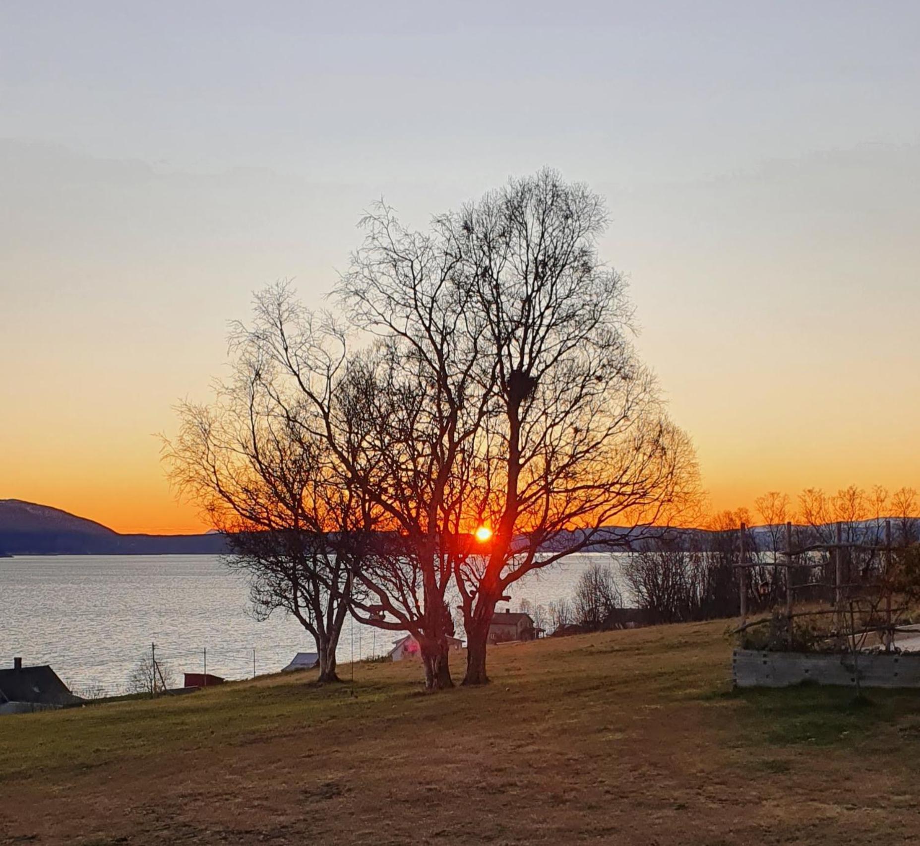 Yggdrasil Farmhotel Retreat, Spa & Yoga Straumsbukta Экстерьер фото