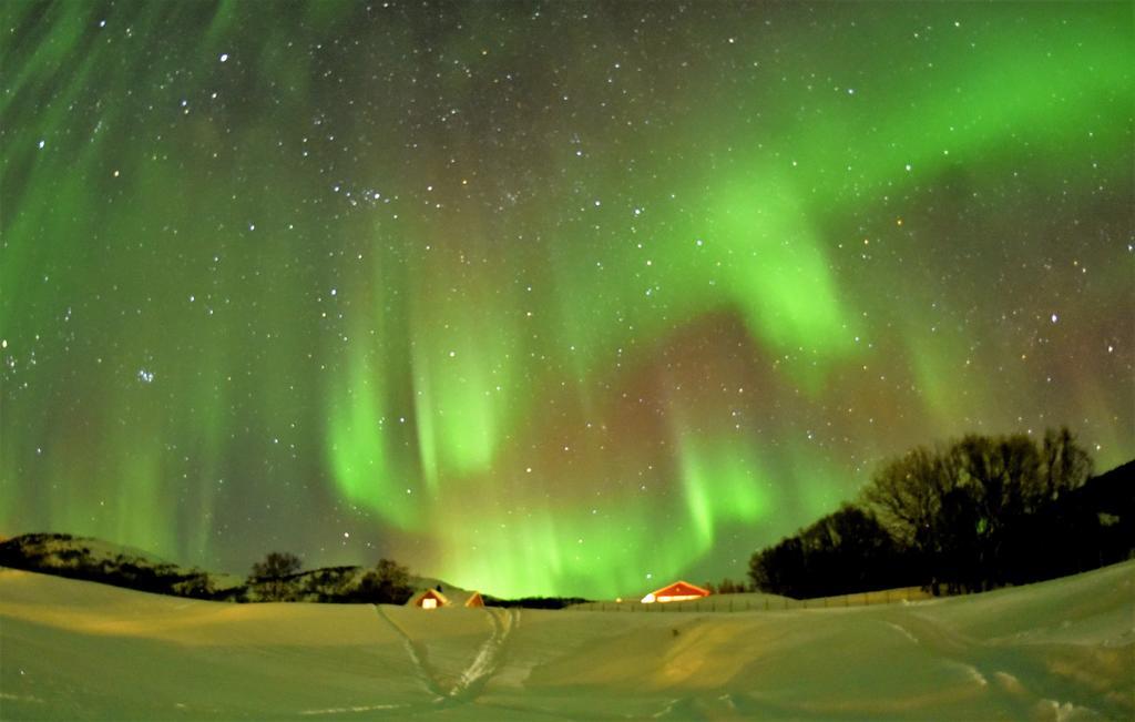 Yggdrasil Farmhotel Retreat, Spa & Yoga Straumsbukta Экстерьер фото
