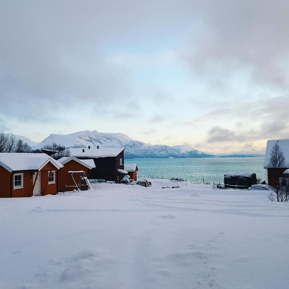 Yggdrasil Farmhotel Retreat, Spa & Yoga Straumsbukta Экстерьер фото